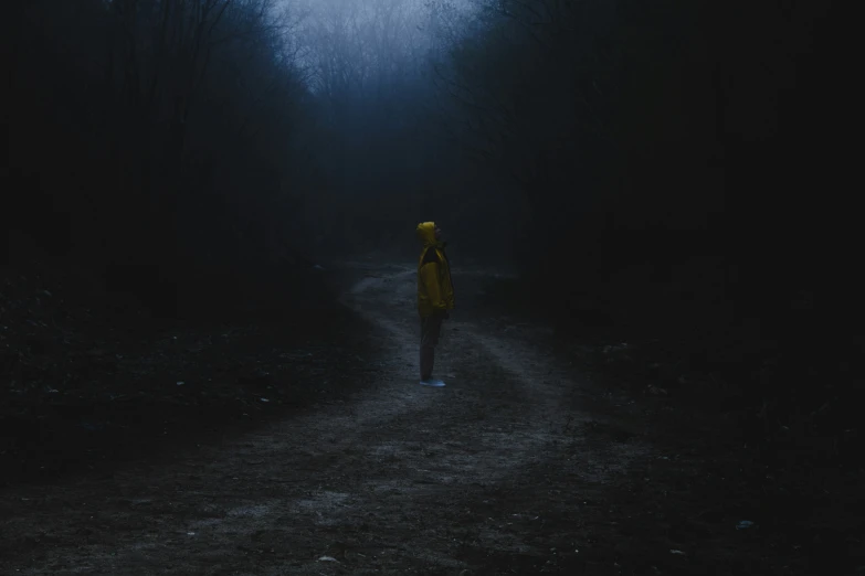 person with yellow jacket walking in dark foggy path