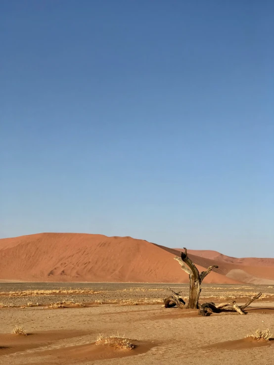 the person standing next to an elephant in the dirt