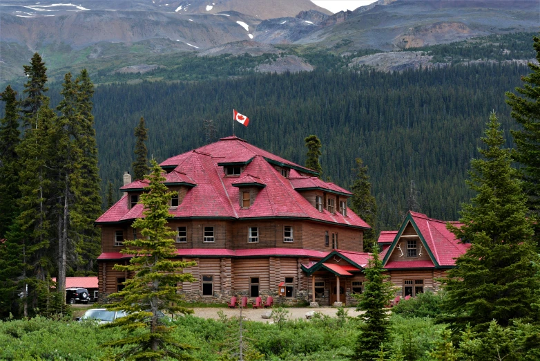 an old log house sits near evergreen trees