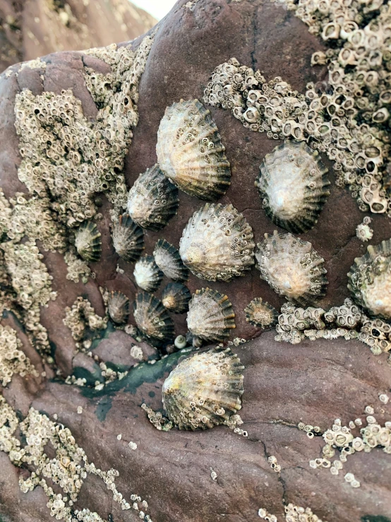 a group of rocks sitting on top of each other