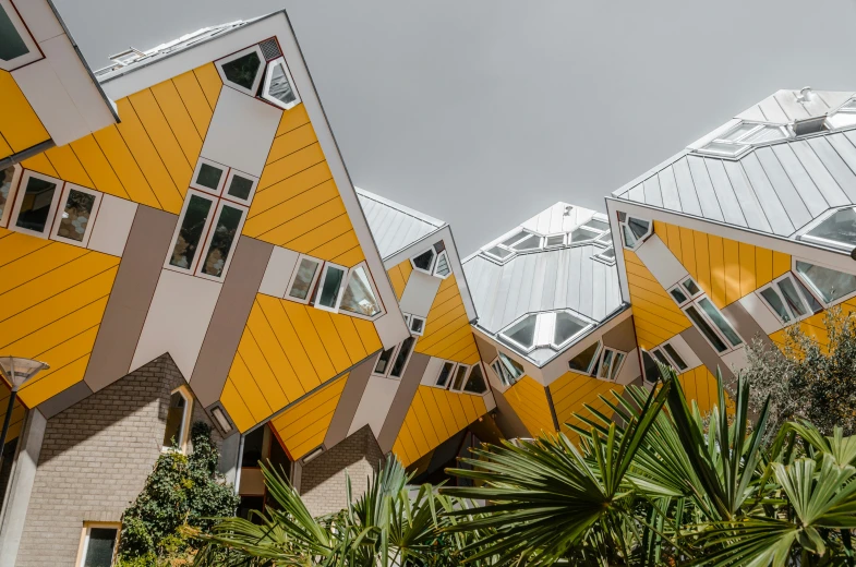 a group of buildings with a lot of windows