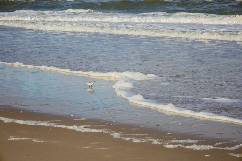 a large sandy beach covered in water next to the ocean