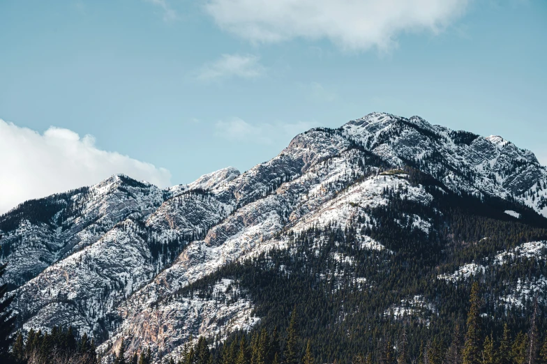 snow covered mountains in the background