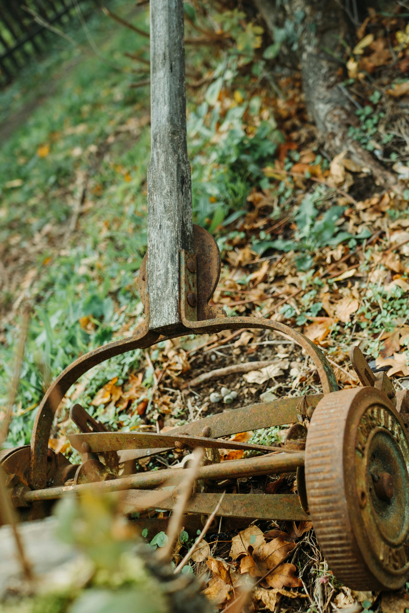 a piece of broken wood next to the ground