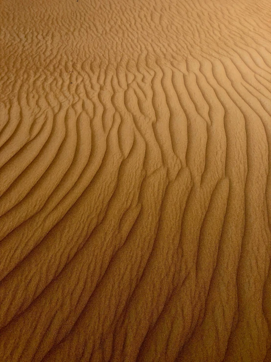 there are waves in the sand at sunset