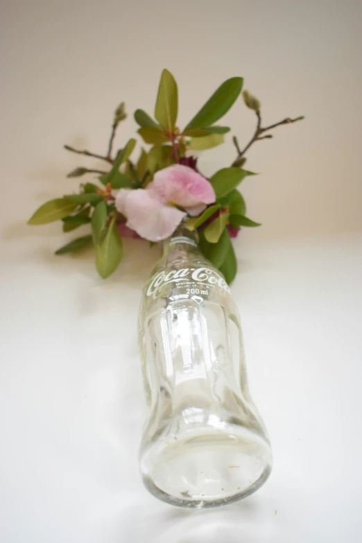 a glass vase has flowers in it