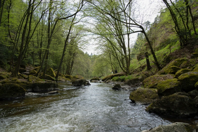 a creek that is running through some rocks