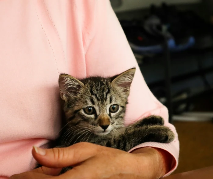 a woman is holding a cat in her arms