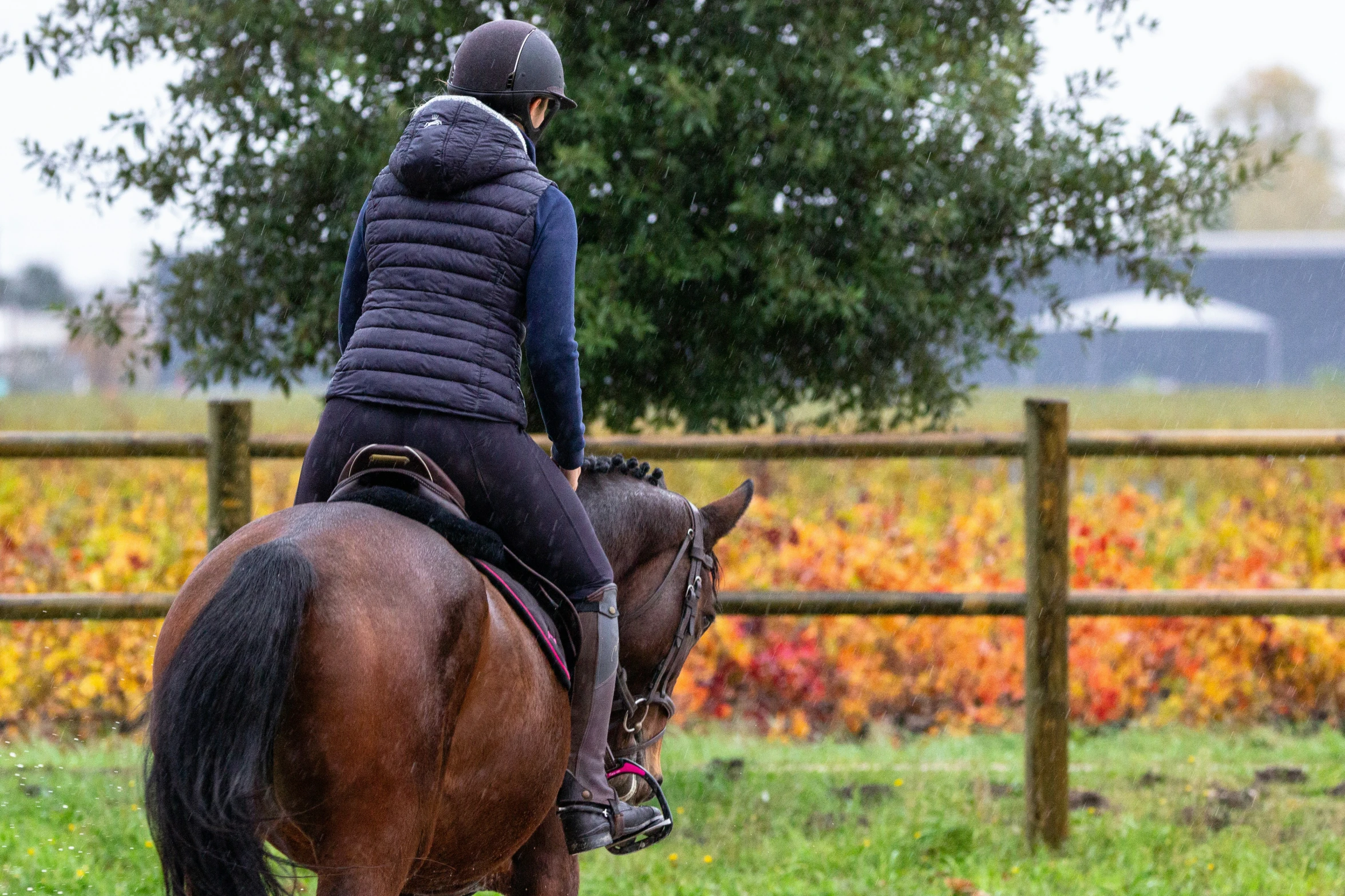 the person is riding a horse in the field