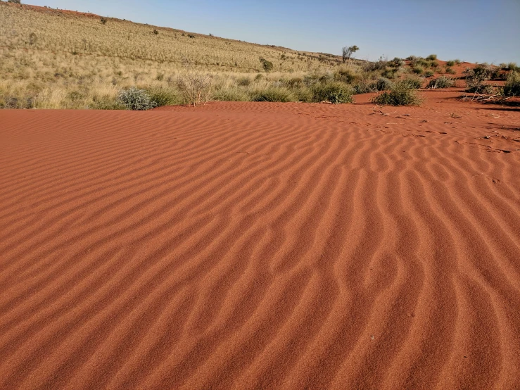 a hill with dirt mounds and plants next to it