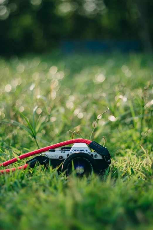 a red rope is wrapped in a pair of scissors and a pair of tape on a green grass