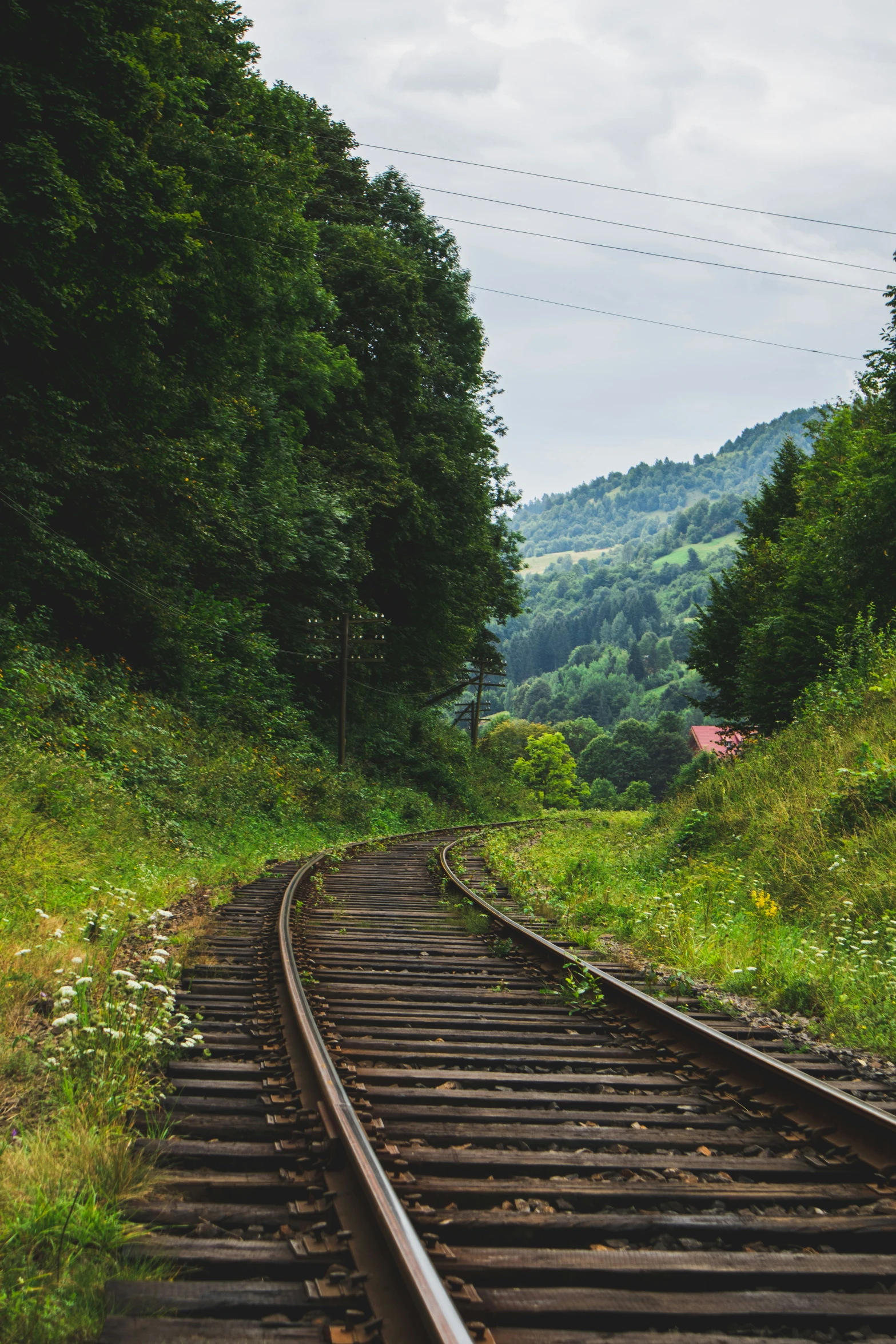 view of trees and hills from a set of train tracks