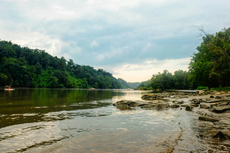 the view of a river with people canoeing on the water