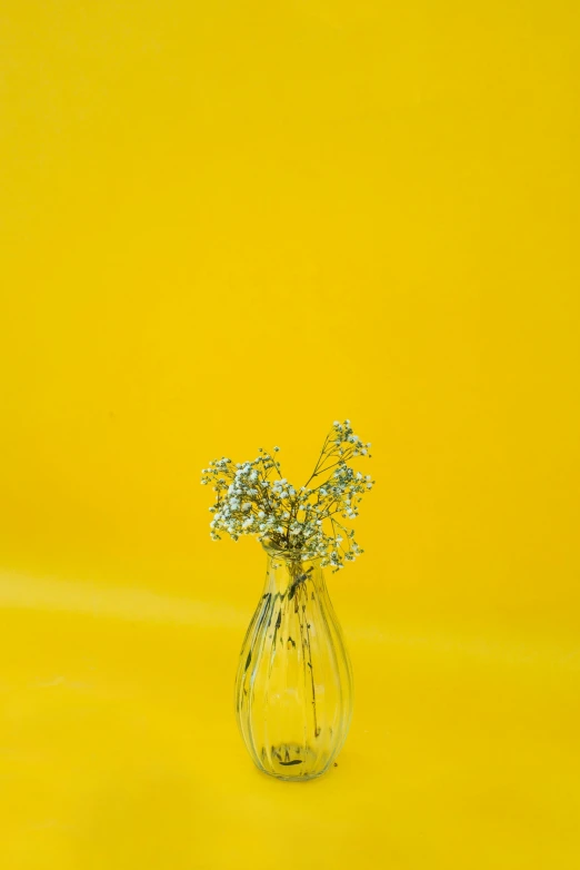 a vase with flowers is shown against a yellow background