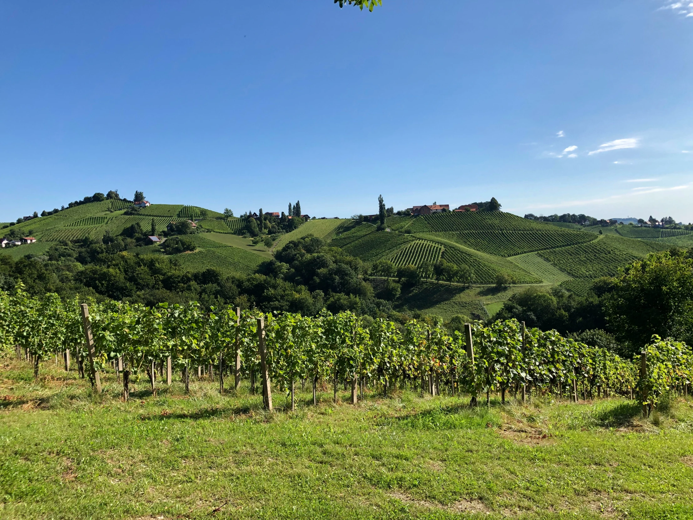 an open field in the middle of mountains with trees on the hill side