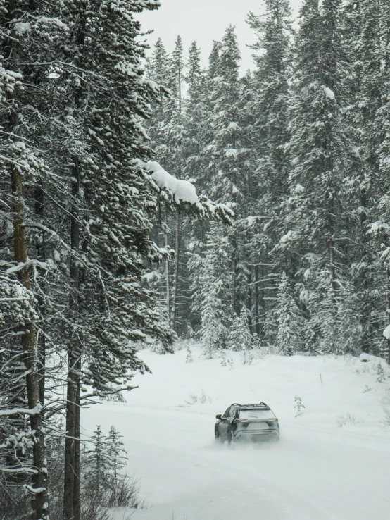 the car is driving through some snowy woods