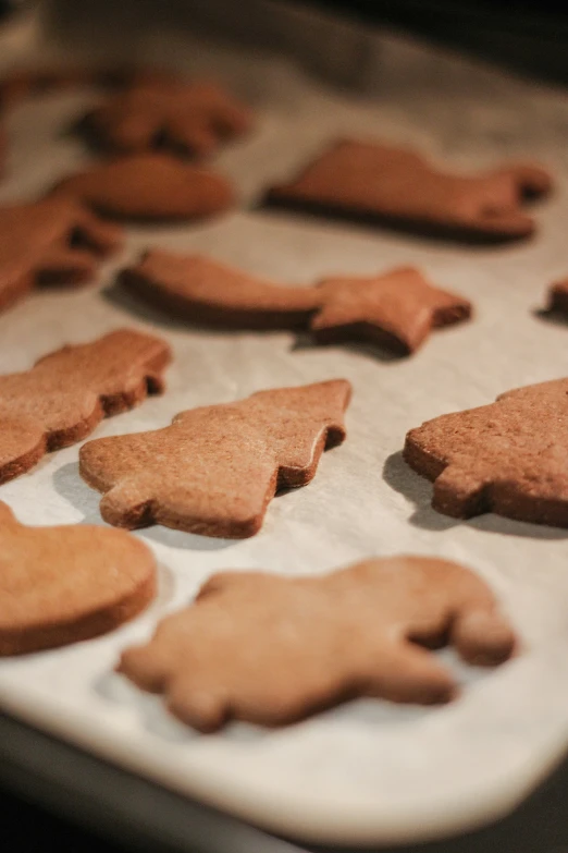 homemade dog shaped cookies in a cookie sheet