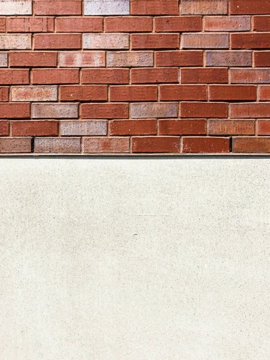 a white dog is walking by a brick wall