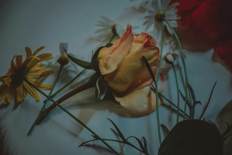 a yellow rose and daisies with green stems