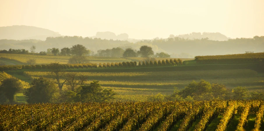 a view from a farm in the countryside