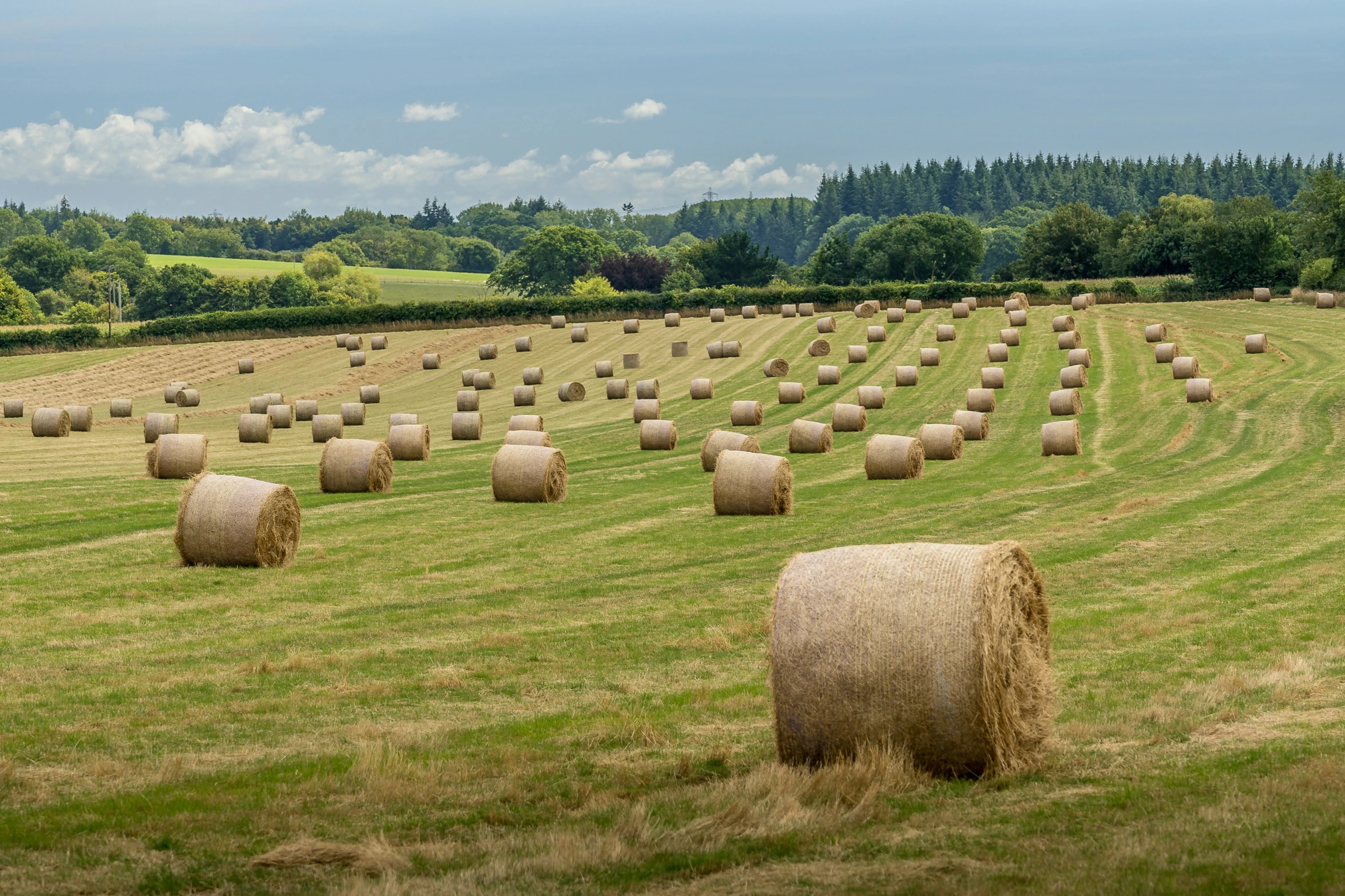 many bales of hay in the field on a sunny day