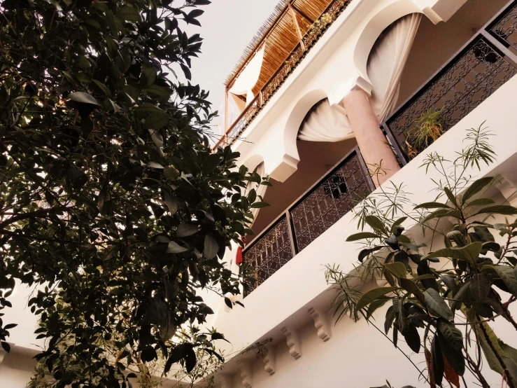 a white building with an overhang, balcony, and tree in the foreground