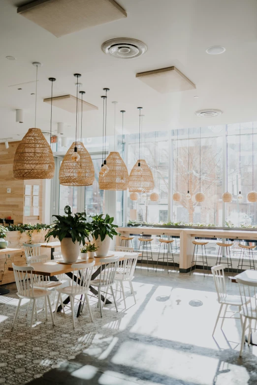 a room filled with white furniture and lots of plants