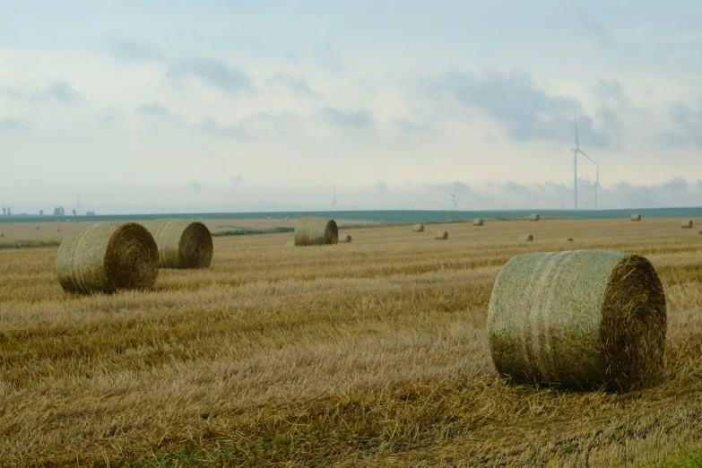 a grassy field filled with stacks of bales of hay