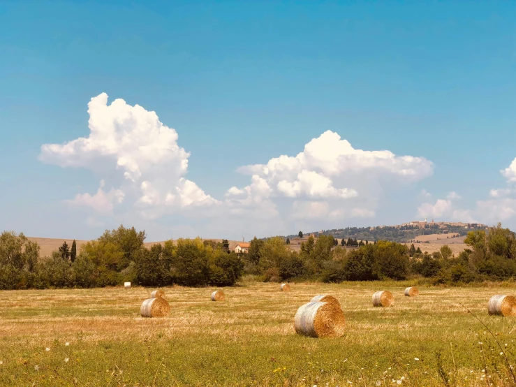 hay bales are scattered on the grass outside