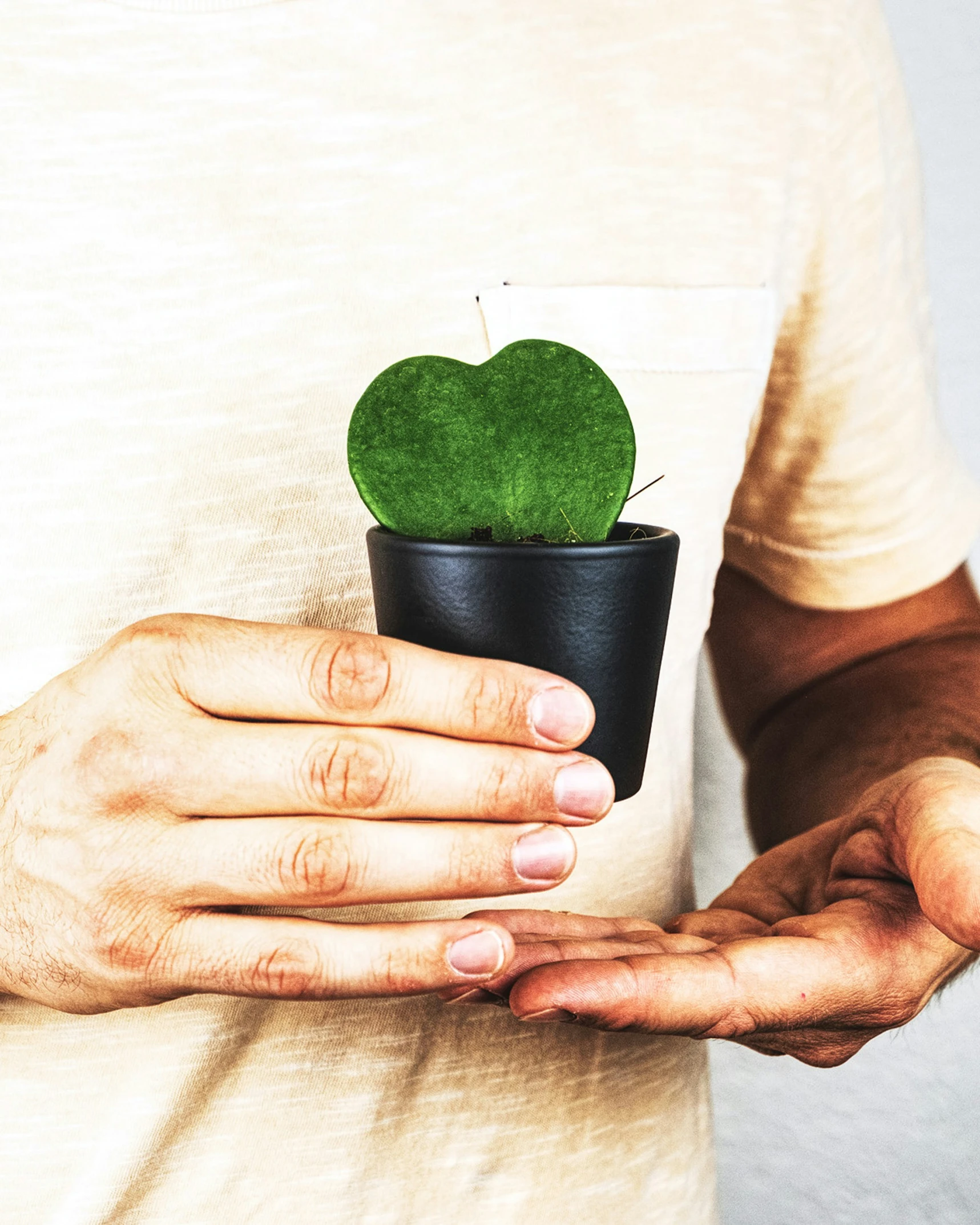 a man in a white t - shirt holds up a potted cactus