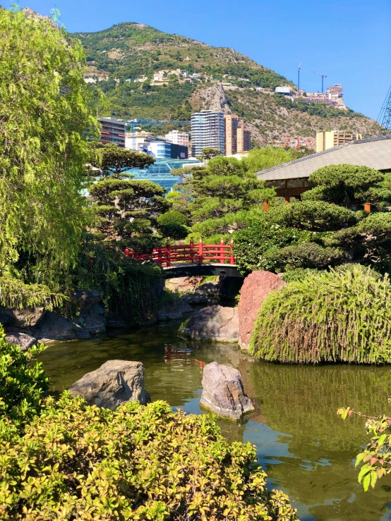 a bridge with water flowing down it surrounded by rocks and trees