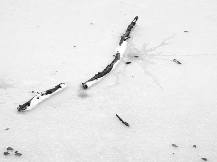 there are two ski poles lying in the snow