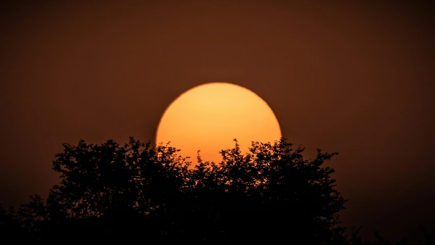 the setting sun behind silhouetted trees with dark skies