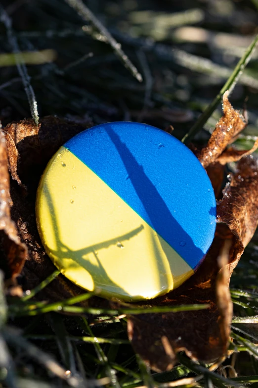 blue and yellow object laying on the ground in the grass