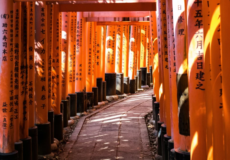 a narrow path leading through many orange and black gates