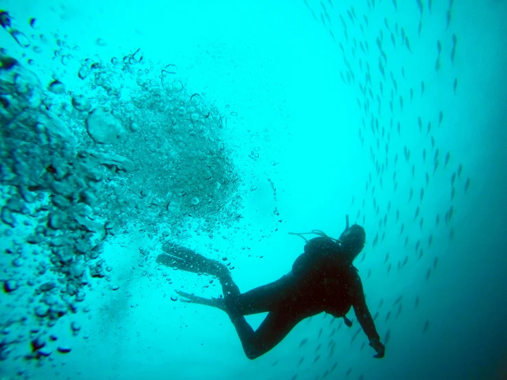 a person in the ocean on a scuba