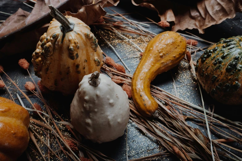 a couple of pumpkins and a squash with dead leaves on it