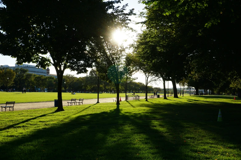 park bench benches at the end of a lush grass covered lawn