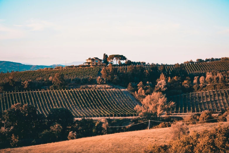 there is some trees near the hills that are empty