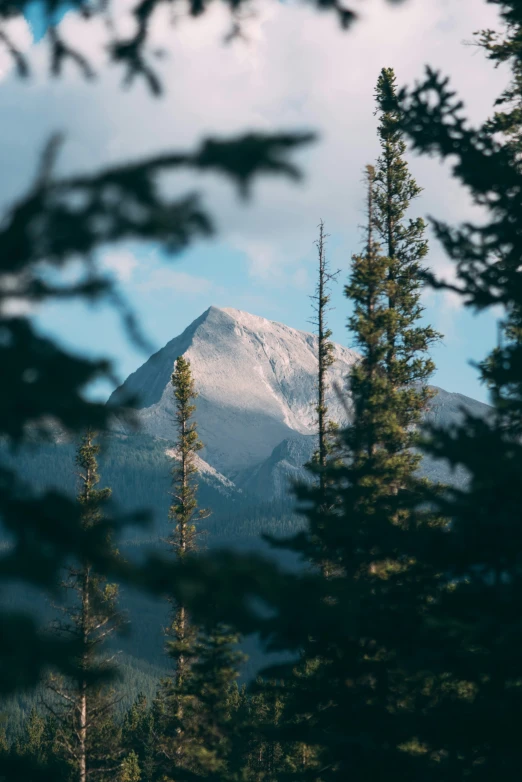 a view of a mountain through trees through some nches