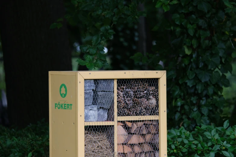 a close up of a insect box on a sidewalk