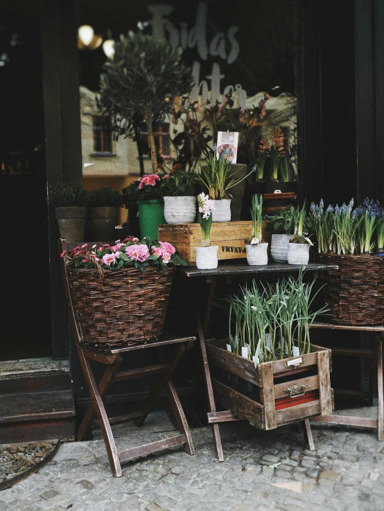 some baskets of plants sitting next to each other