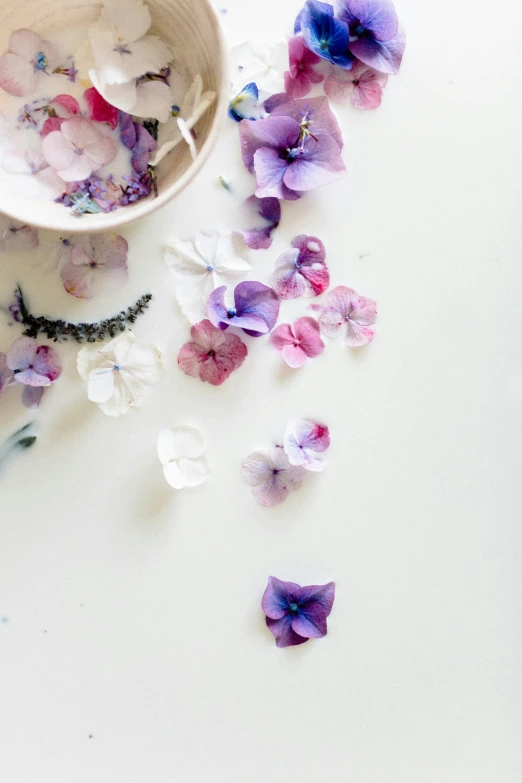some dried purple and white flowers on a table
