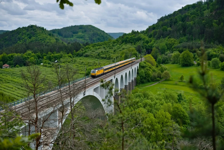 a long train is crossing a bridge over some trees