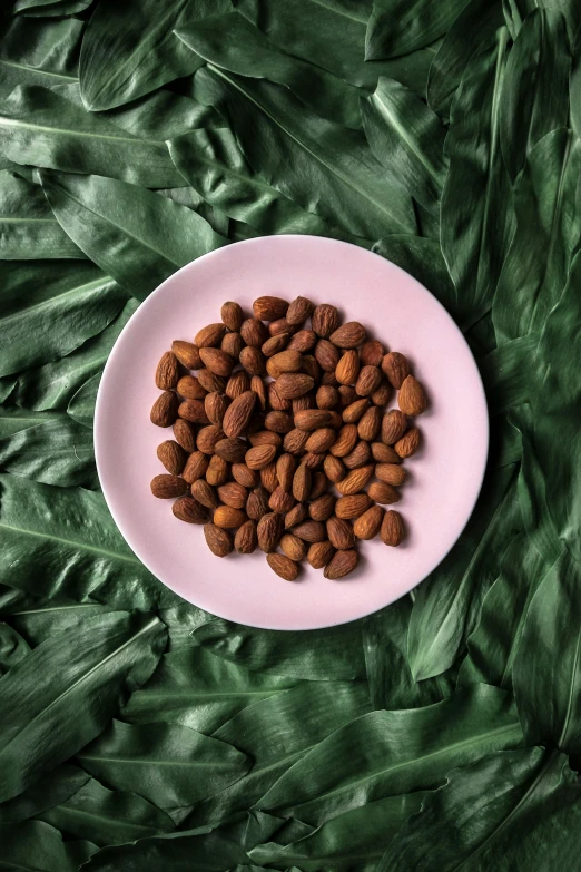 a plate of nuts is on the green fabric