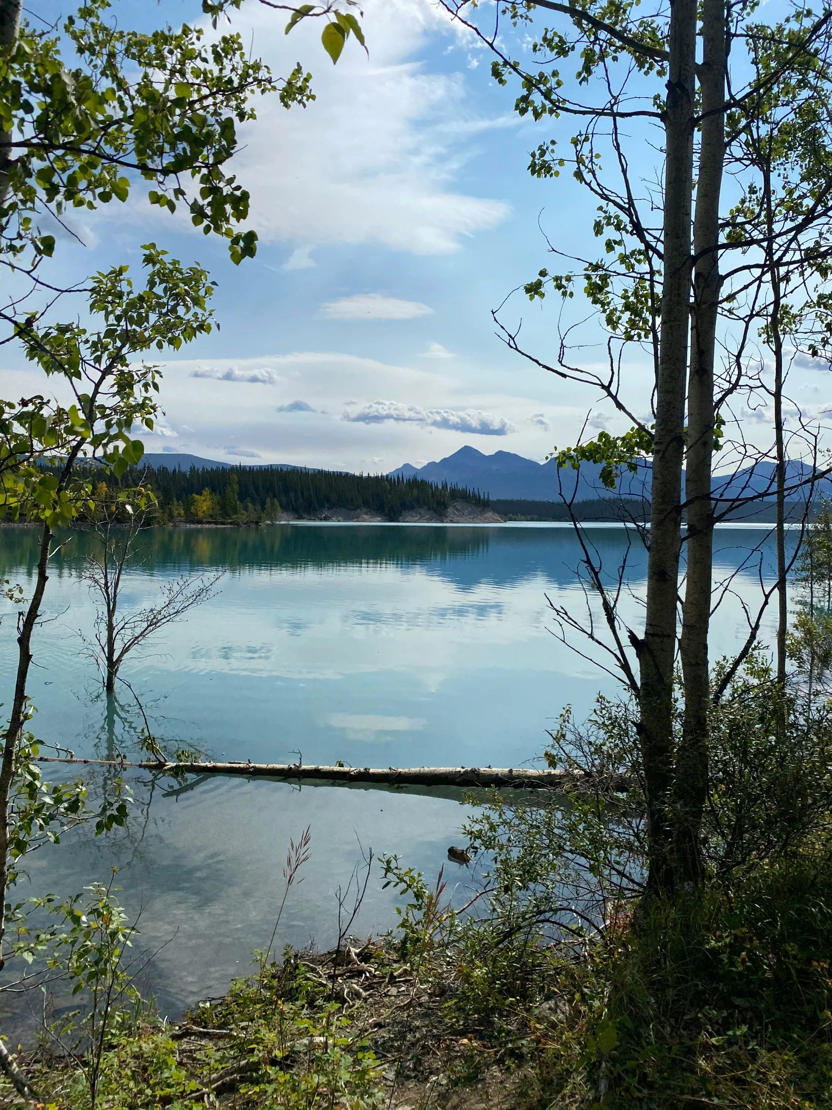 a lake surrounded by green trees under a cloudy sky