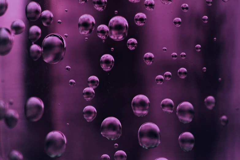 many droplets of water in a purple colored glass