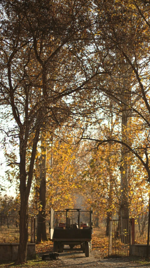 an old vehicle sitting in front of trees