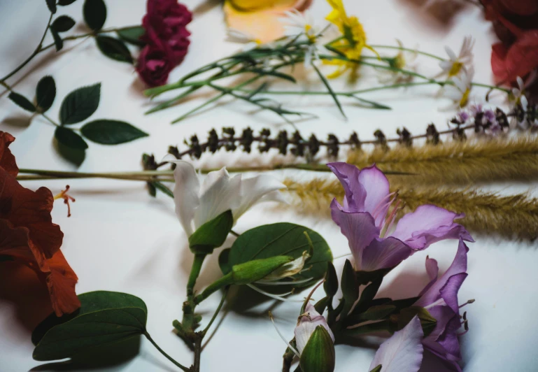 several different types of flowers and plants lay on a table