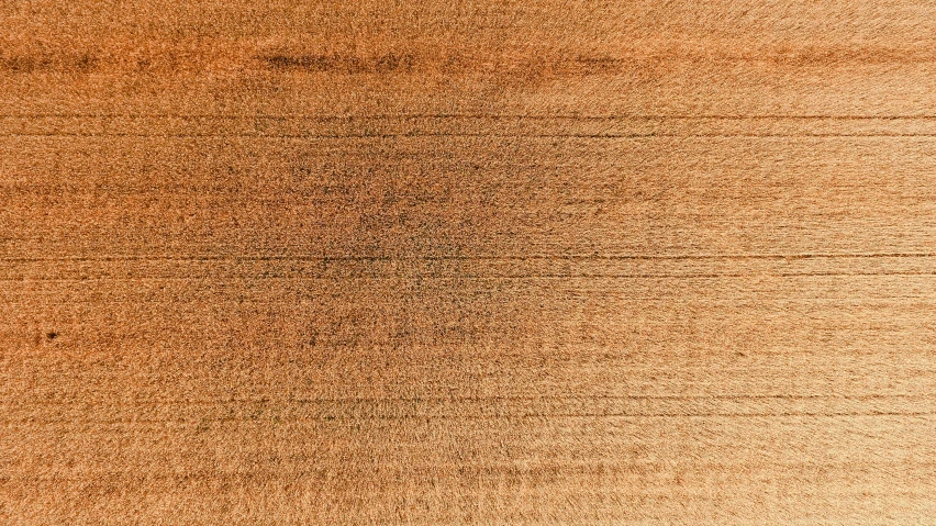 a close up of a wood textured background